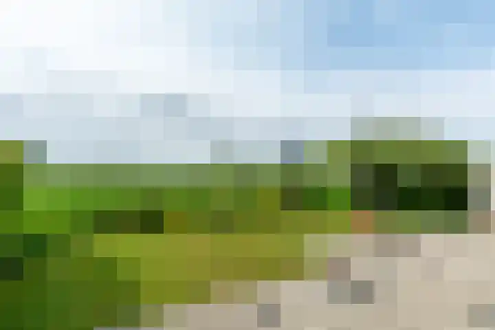 Ruigeweg 61 h7 Sint Maartensbrug thumbnail 19