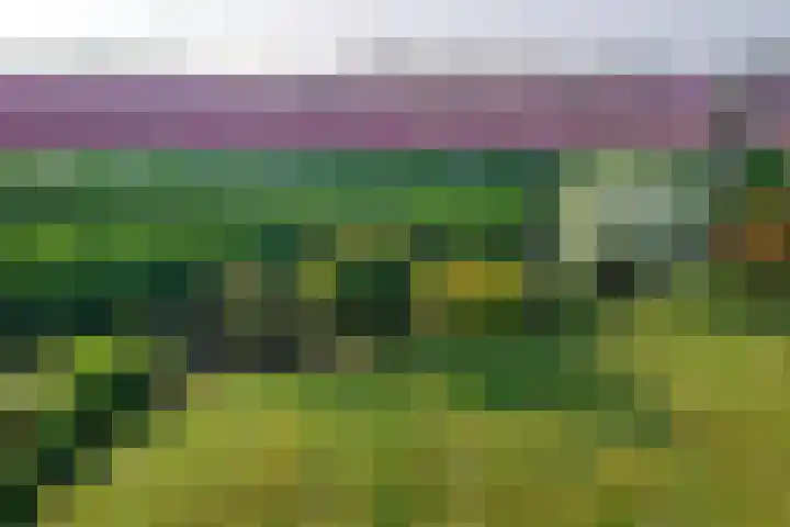 Ruigeweg 61 h7 Sint Maartensbrug thumbnail 20