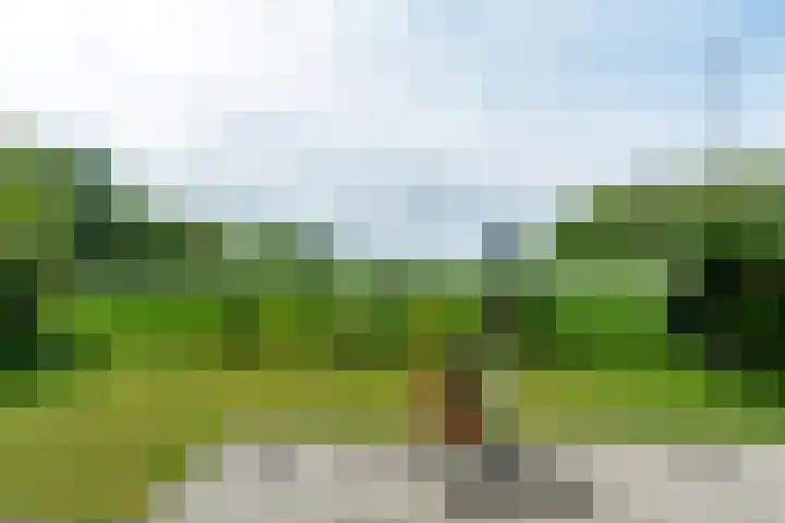 Ruigeweg 61 h7 Sint Maartensbrug thumbnail 21