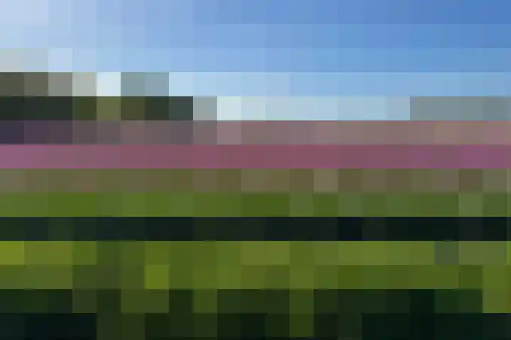 Ruigeweg 61 h7 Sint Maartensbrug thumbnail 22