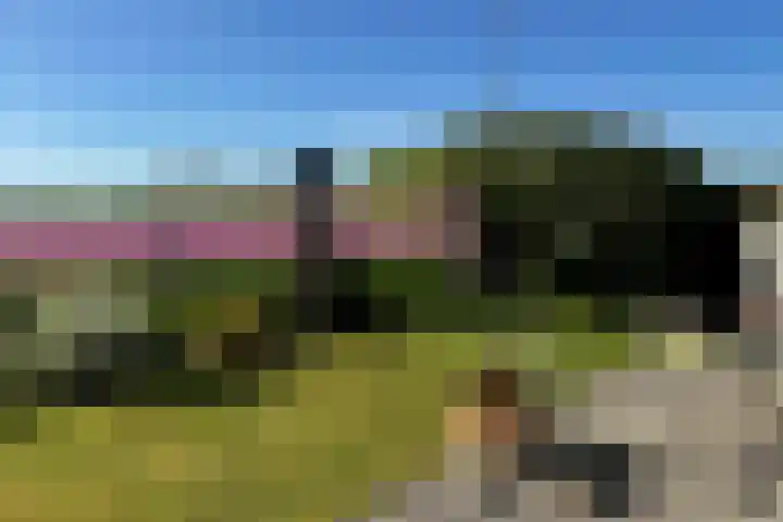 Ruigeweg 61 h7 Sint Maartensbrug thumbnail 23