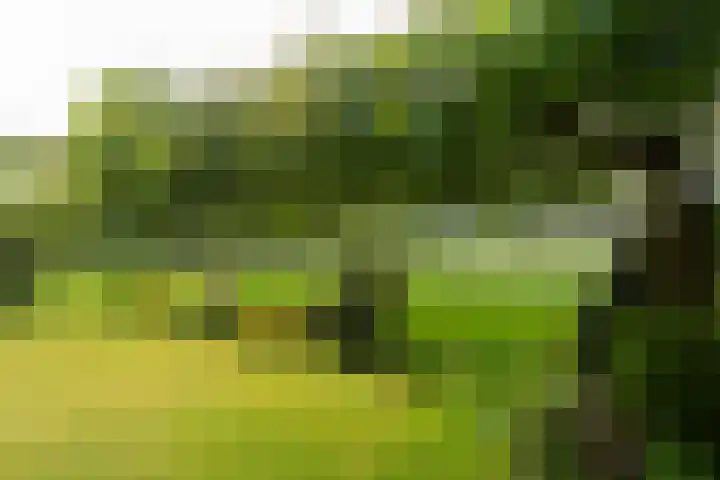 Ruigeweg 61 h7 Sint Maartensbrug thumbnail 24