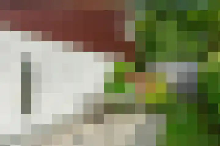 Ruigeweg 61 h7 Sint Maartensbrug thumbnail 25