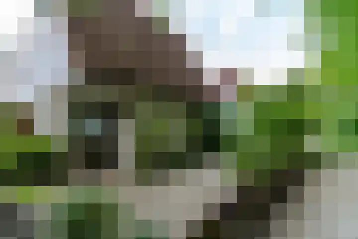 Ruigeweg 61 h7 Sint Maartensbrug thumbnail 28
