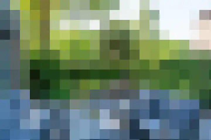 Ruigeweg 65 A h10 Sint Maartensbrug thumbnail 16