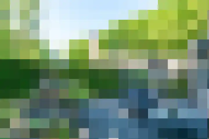 Ruigeweg 65 A h10 Sint Maartensbrug thumbnail 17