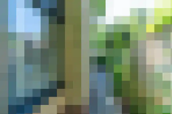 Ruigeweg 65 A h10 Sint Maartensbrug thumbnail 20