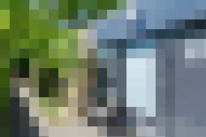 Ruigeweg 65 A h10 Sint Maartensbrug thumbnail 22