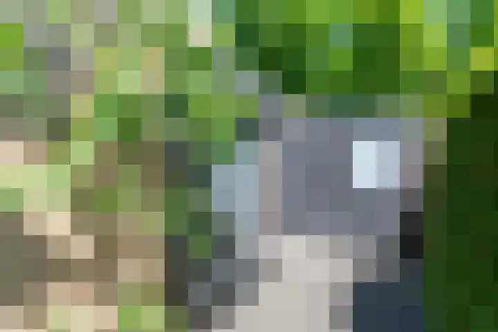 Ruigeweg 65 A h10 Sint Maartensbrug thumbnail 23