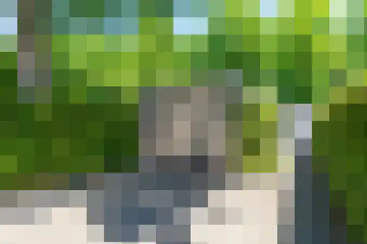 Ruigeweg 65 A h10 Sint Maartensbrug thumbnail 25