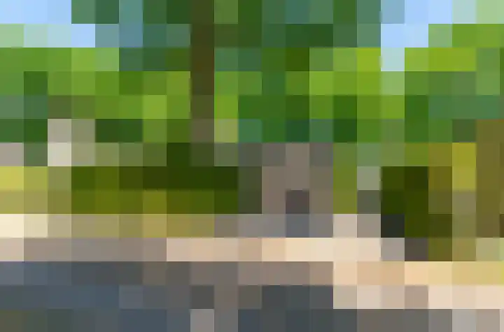 Ruigeweg 65 A h10 Sint Maartensbrug thumbnail 26