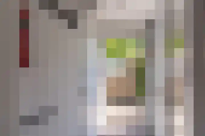 Ruigeweg 65 A h10 Sint Maartensbrug thumbnail 4