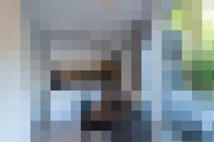 Ruigeweg 65 A h10 Sint Maartensbrug thumbnail 8