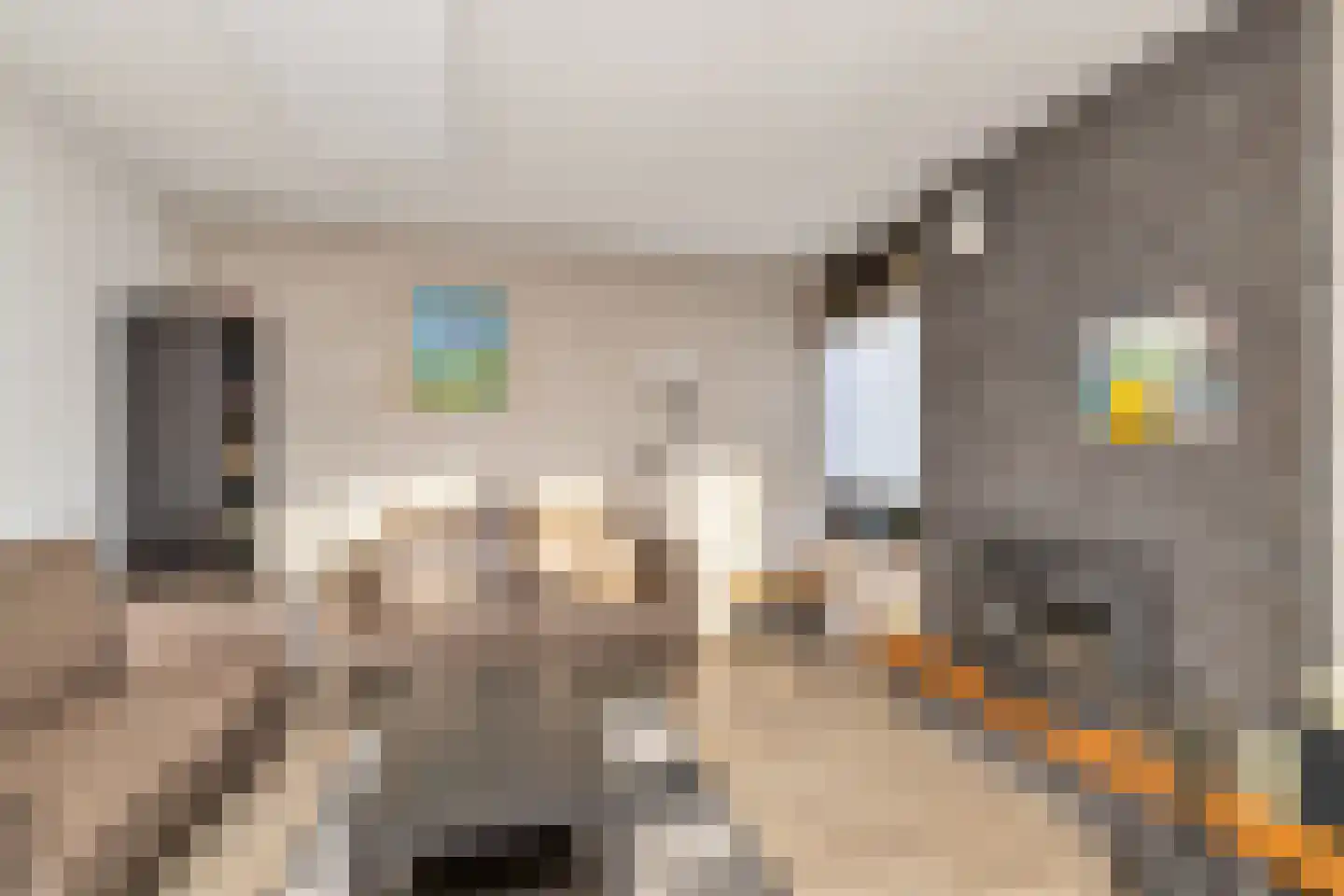 Ruigeweg 65 A h12 Sint Maartensbrug thumbnail 10