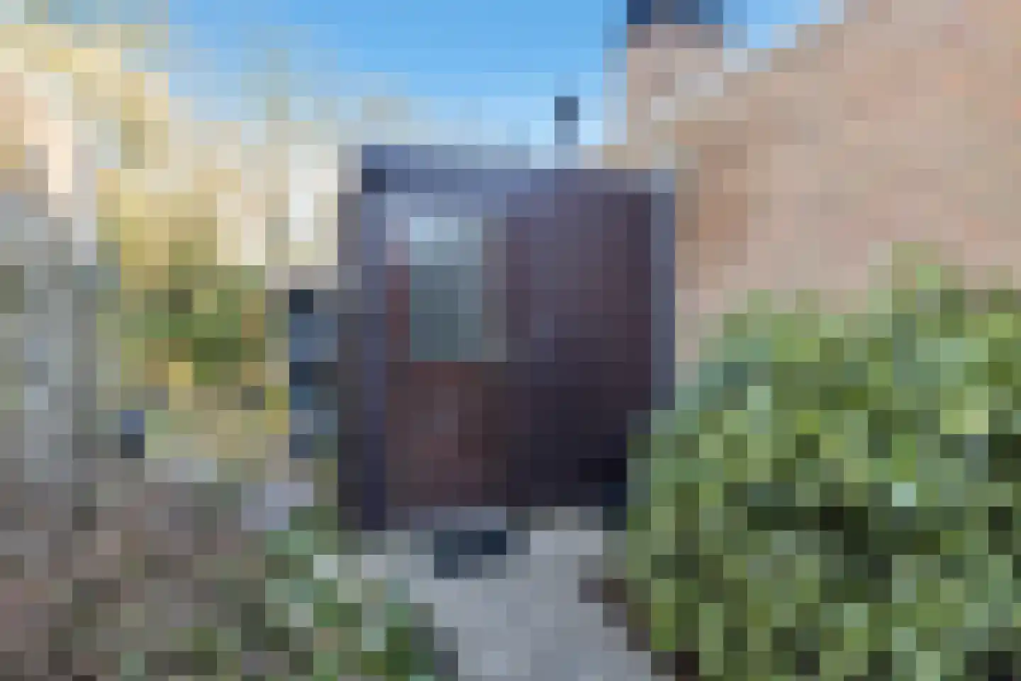 Ruigeweg 65 A h12 Sint Maartensbrug thumbnail 23