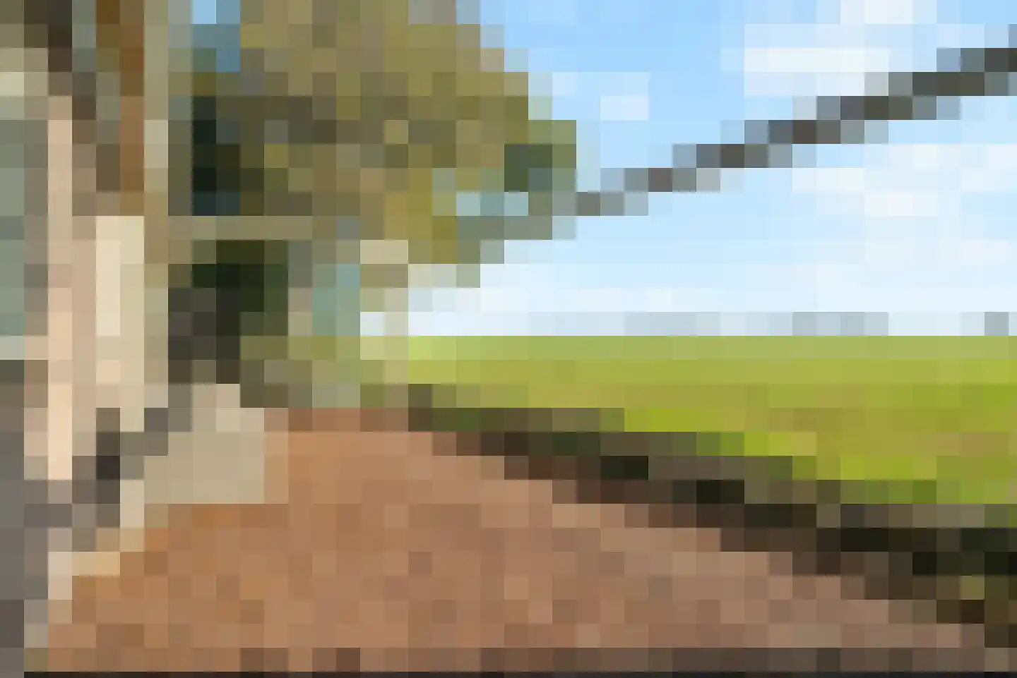 Ruigeweg 78 B Sint Maartensbrug thumbnail 47