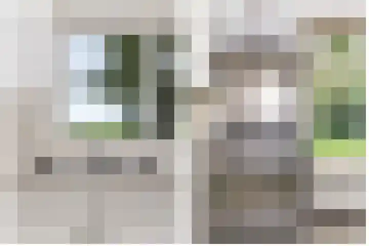 Ruigeweg 78 C Sint Maartensbrug thumbnail 13