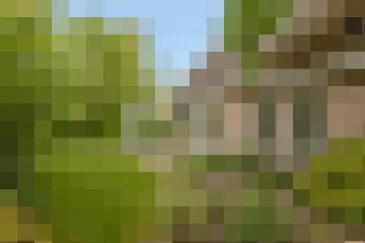 Ruigeweg 78 C Sint Maartensbrug thumbnail 23