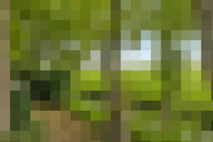 Ruigeweg 78 C Sint Maartensbrug thumbnail 25