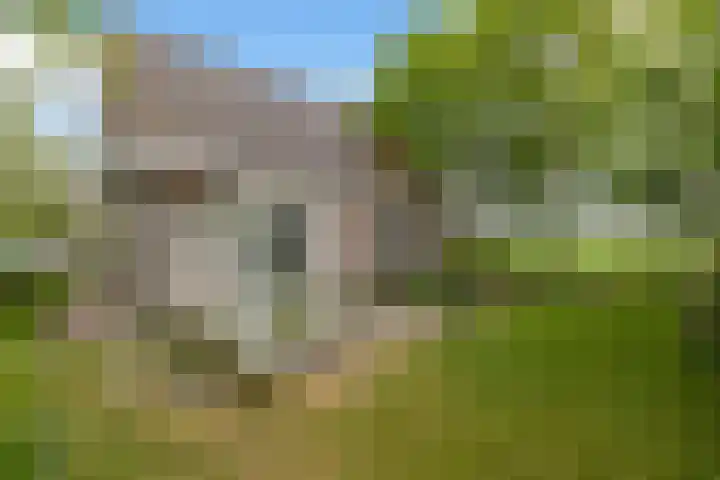 Ruigeweg 78 C Sint Maartensbrug thumbnail 5