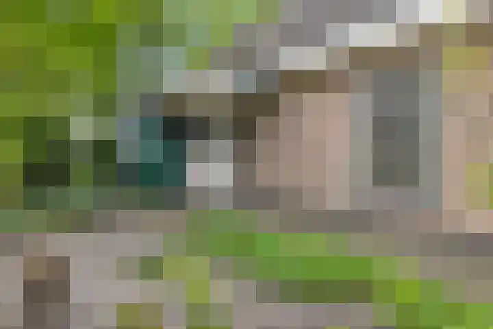 Ruigeweg 78 C Sint Maartensbrug thumbnail 7