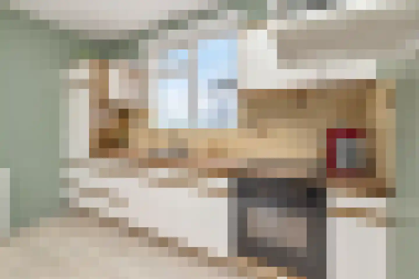 Ruigeweg 83 Sint Maartensbrug thumbnail 12