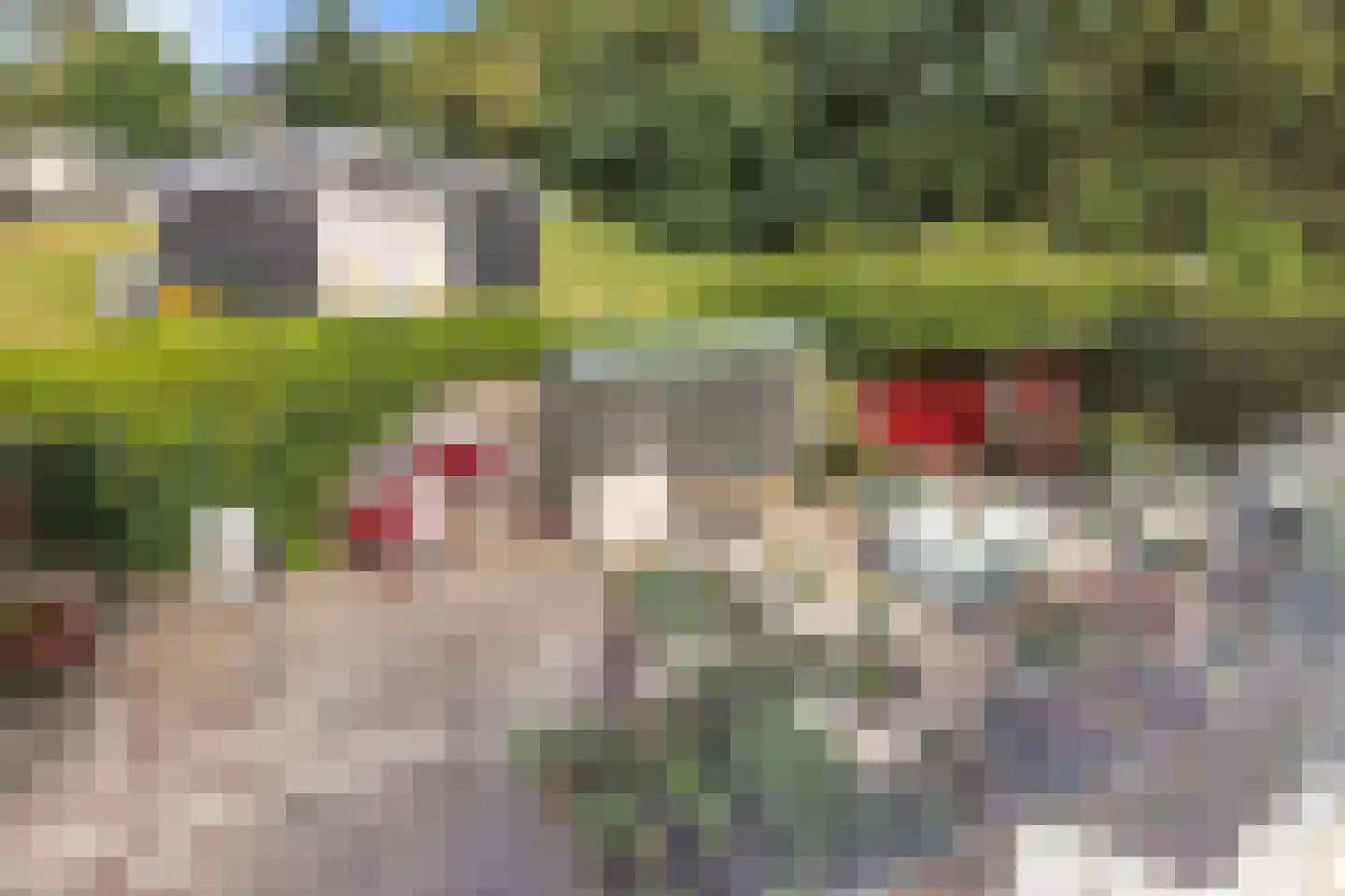 Ruigeweg 83 Sint Maartensbrug thumbnail 26