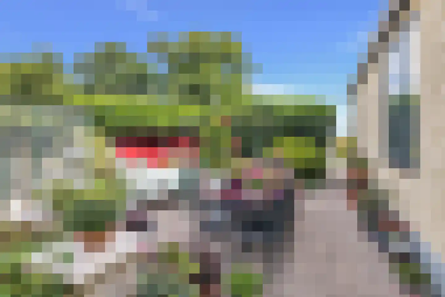 Ruigeweg 83 Sint Maartensbrug thumbnail 27