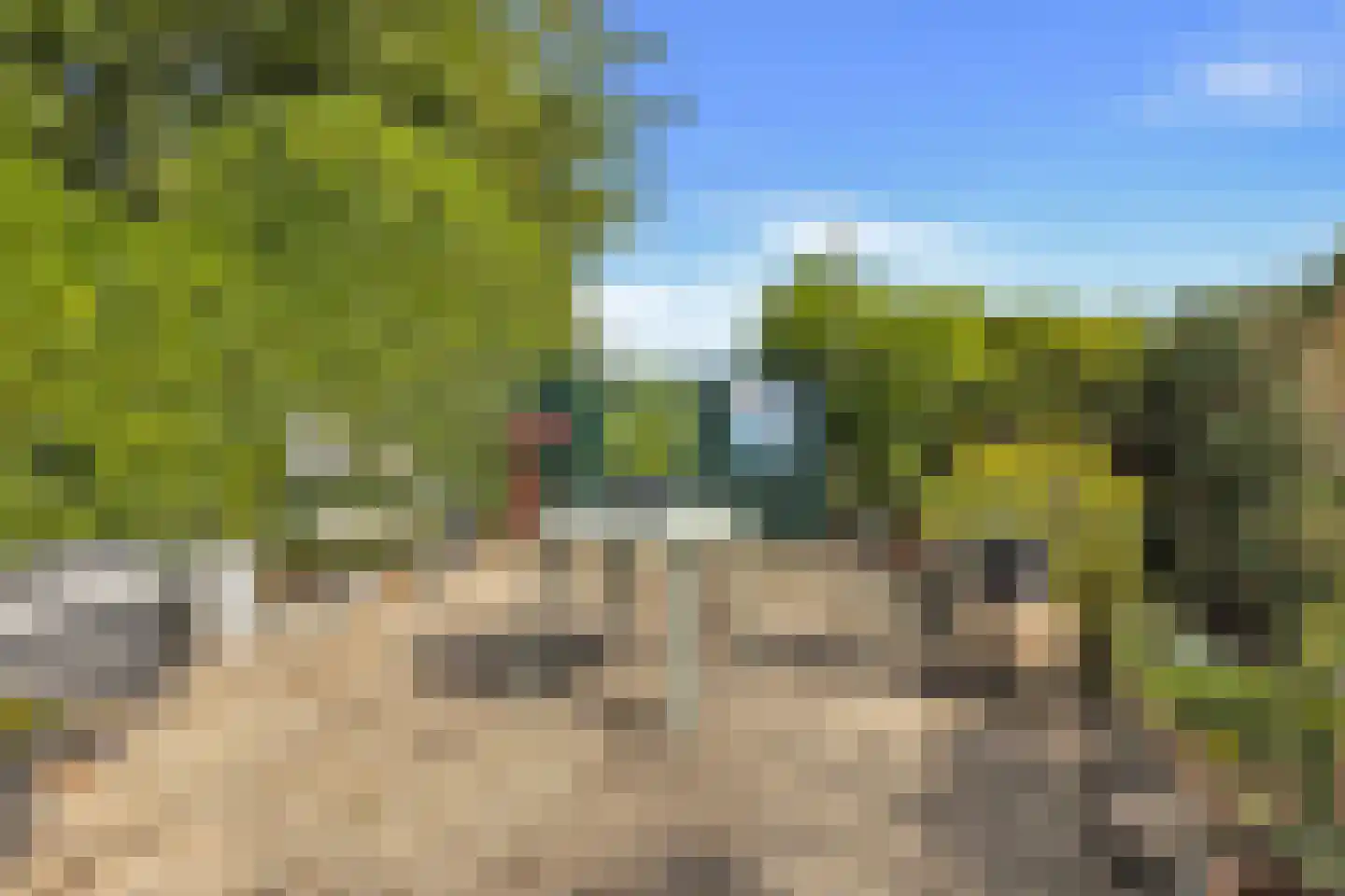 Ruigeweg 83 Sint Maartensbrug thumbnail 32
