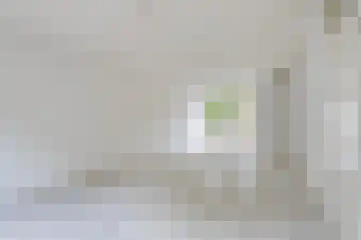 Ruigewerve 12 Bergen op Zoom thumbnail 11