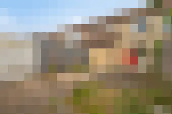 Ruigewerve 12 Bergen op Zoom thumbnail 15