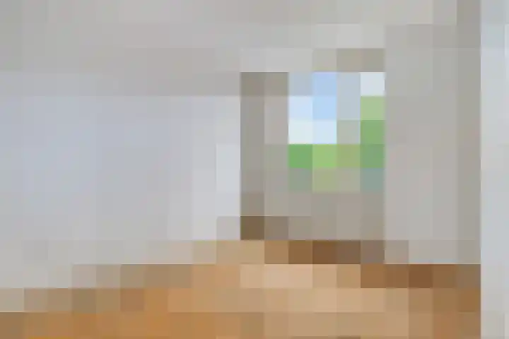 Ruigewerve 12 Bergen op Zoom thumbnail 21