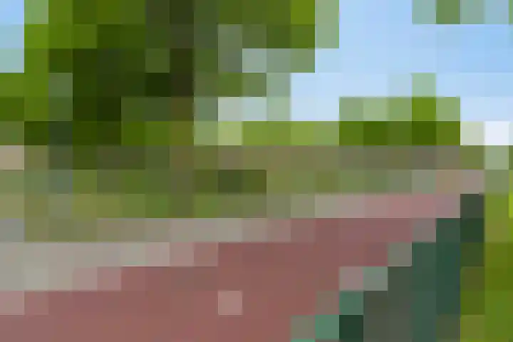 Ruigewerve 12 Bergen op Zoom thumbnail 29