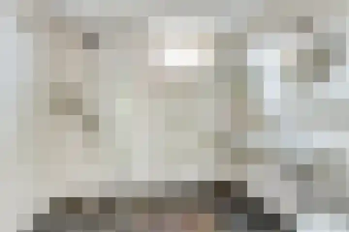 Ruigewerve 12 Bergen op Zoom thumbnail 4