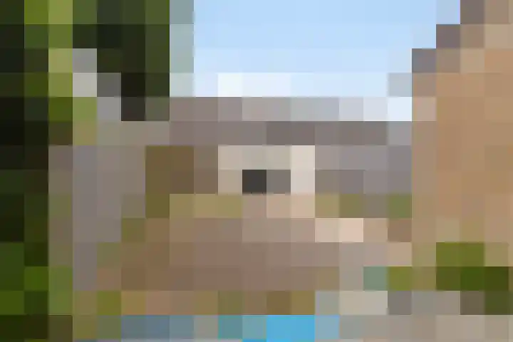 Ruigewerve 12 Bergen op Zoom thumbnail 5