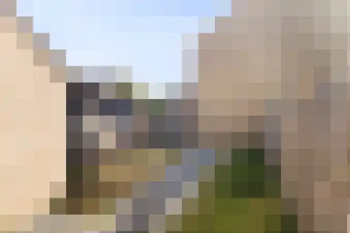 Ruigewerve 19 Bergen op Zoom thumbnail 31