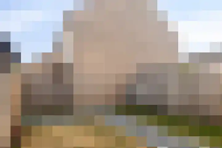 Ruigewerve 19 Bergen op Zoom thumbnail 32