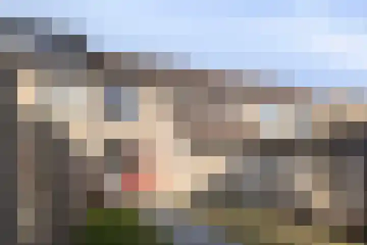 Ruigewerve 19 Bergen op Zoom thumbnail 34
