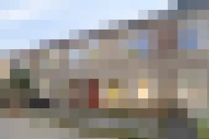 Ruigewerve 19 Bergen op Zoom thumbnail 7