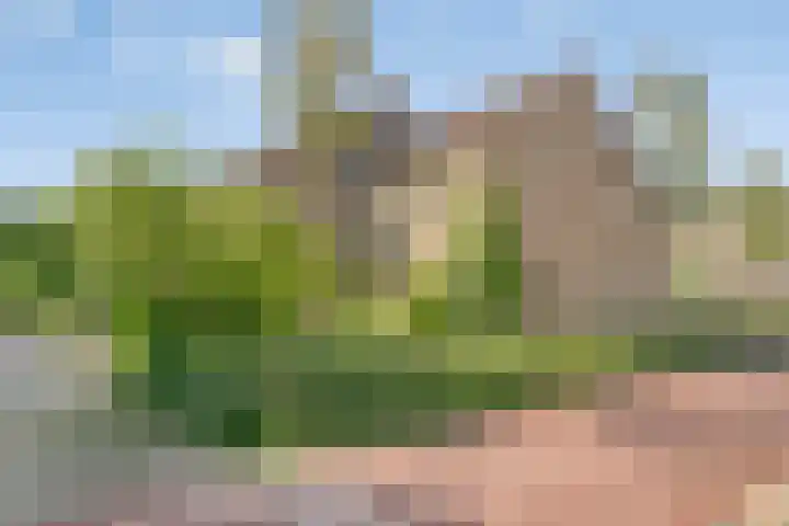 Ruigewerve 2 in Bergen op Zoom