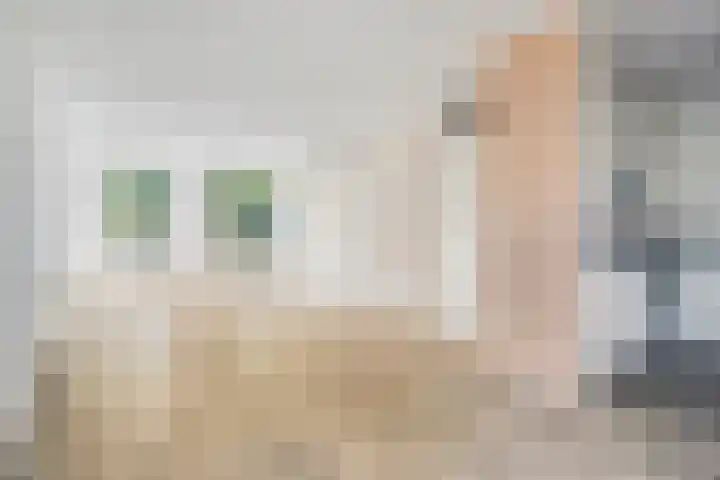 Ruigewerve 2 Bergen op Zoom thumbnail 10