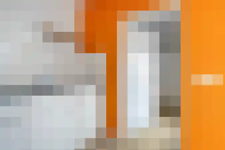 Ruigewerve 2 Bergen op Zoom thumbnail 15