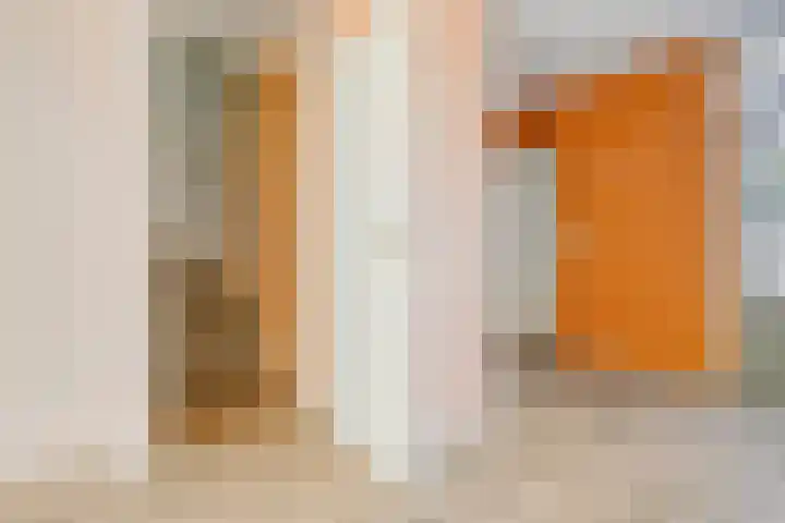 Ruigewerve 2 Bergen op Zoom thumbnail 18