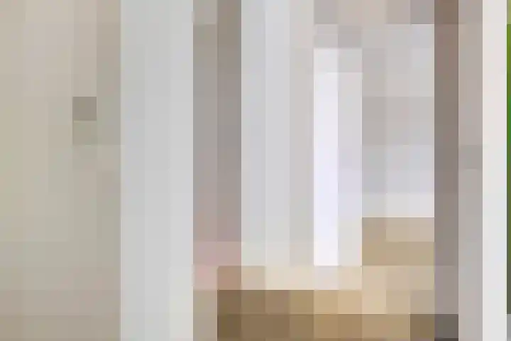 Ruigewerve 2 Bergen op Zoom thumbnail 20