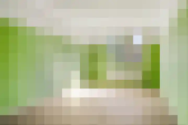 Ruigewerve 2 Bergen op Zoom thumbnail 23