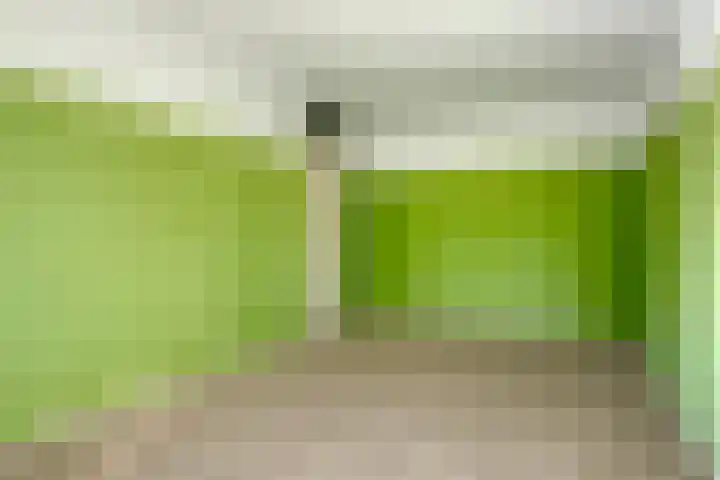 Ruigewerve 2 Bergen op Zoom thumbnail 24