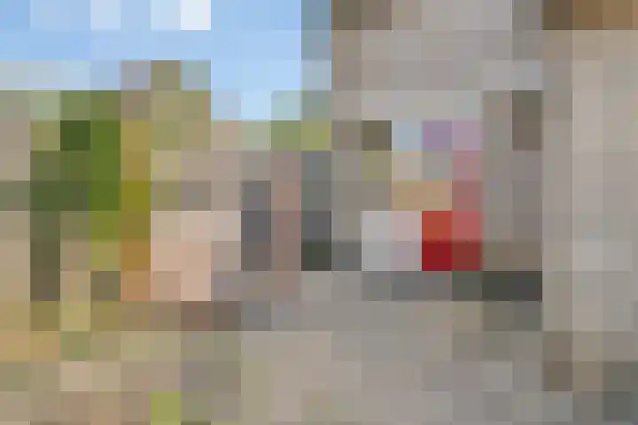 Ruigewerve 2 Bergen op Zoom thumbnail 31