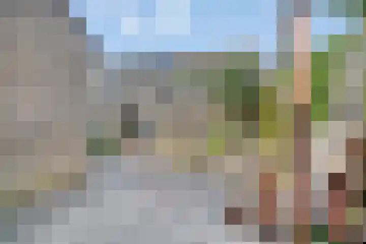 Ruigewerve 2 Bergen op Zoom thumbnail 33