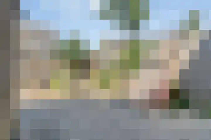 Ruigewerve 2 Bergen op Zoom thumbnail 34