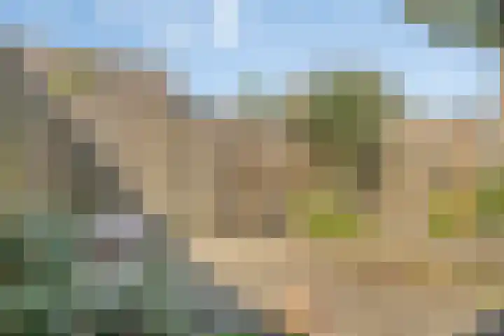 Ruigewerve 2 Bergen op Zoom thumbnail 35
